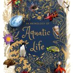 Children's Oceanography Book by DK Children – Ages 4‑8 Kindle Edition-0