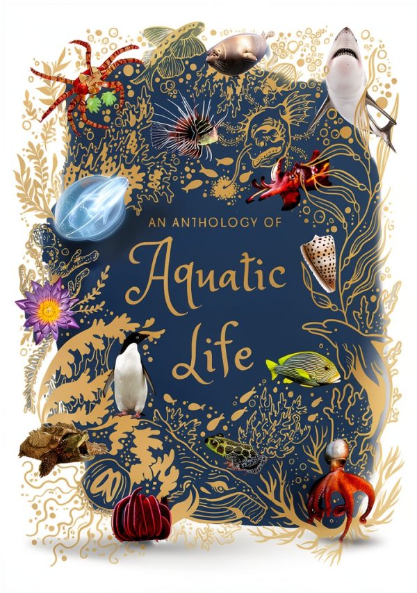 Children's Oceanography Book by DK Children – Ages 4‑8 Kindle Edition-0