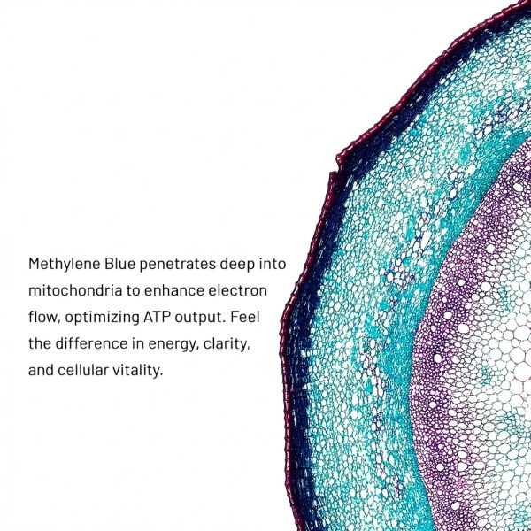 Methylene Blue Pharmaceutical Grade 5% USP Drops Piyabang 120mL-6